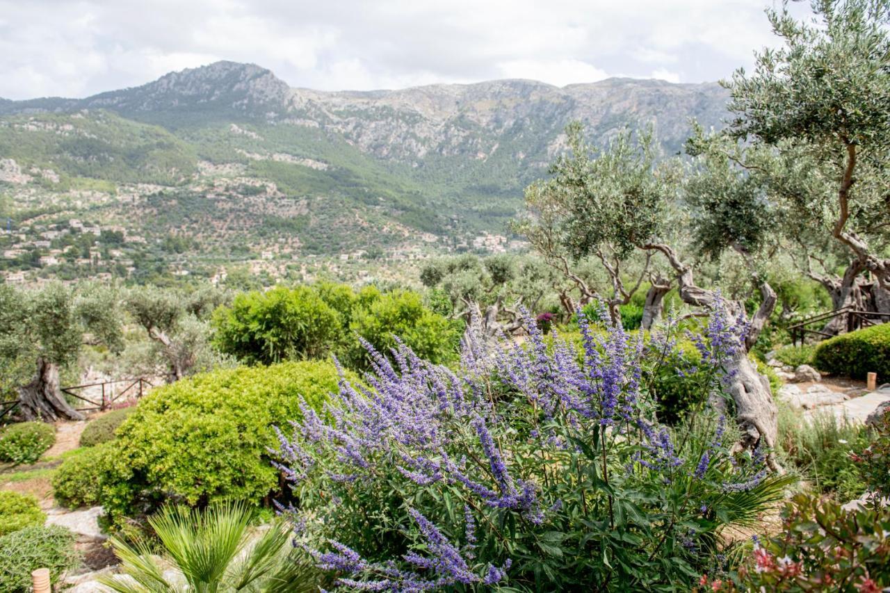 Sa Pedrissa Villa Deia Bagian luar foto