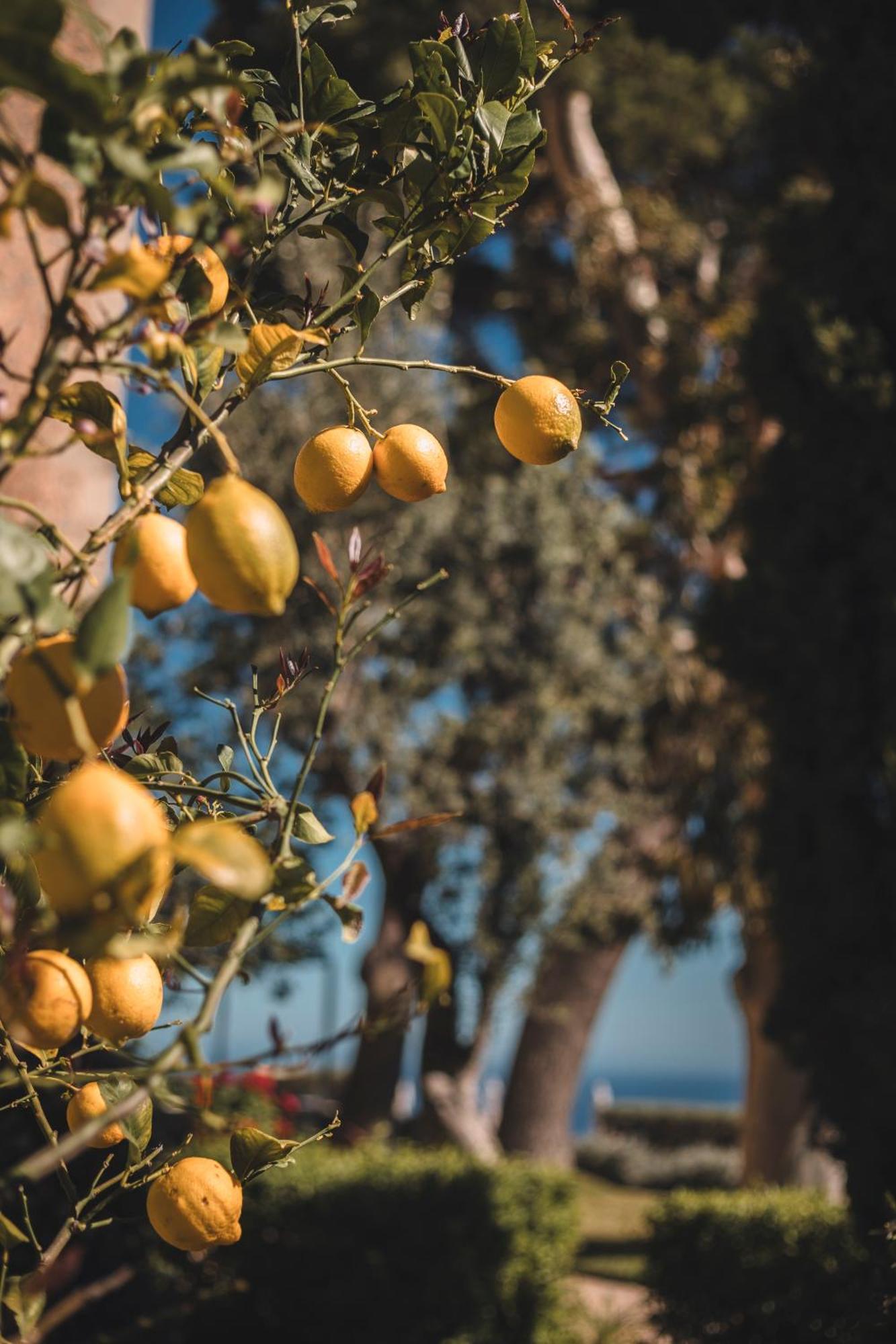 Sa Pedrissa Villa Deia Bagian luar foto